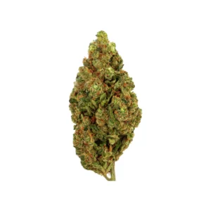 Passion Kush Indoor – Premium CBD-Blüten aus Indoor-Anbau mit intensivem Kush-Aroma und hoher Qualität.