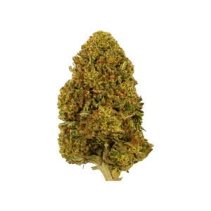 White Passion Outdoor – Natürliche CBD-Blüten aus Outdoor-Anbau mit mildem Aroma und leuchtenden Farben.