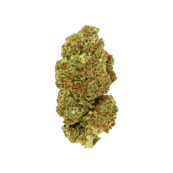 Lemon Skunk CBD Blüten (Indoor) – Sorgfältig gezüchtete Premium-Blüten mit intensiver Zitrusnote und hohem CBD-Gehalt.